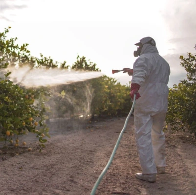 Pest Control Kirrawee
